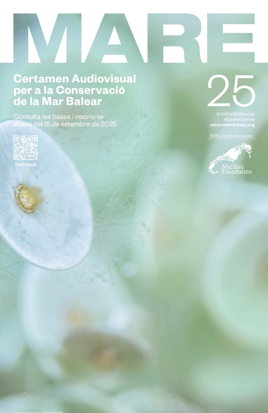 Mare - Certamen d'Arts Visuals per a la Conservació de la Mar Balear