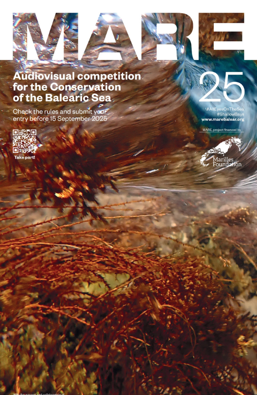 Mare - Certamen d'Arts Visuals per a la Conservació de la Mar Balear