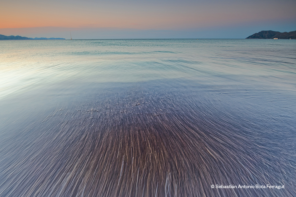 Mare - Certamen d'Arts Visuals per a la Conservació de la Mar Balear