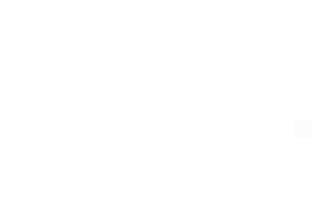 Disset