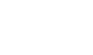 Octopus Mallorca