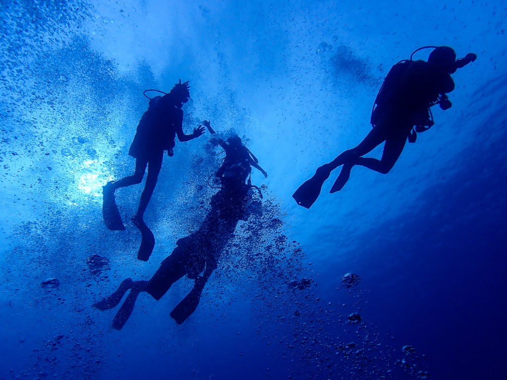 Entrada a un Mundo Diferente "AZUL"