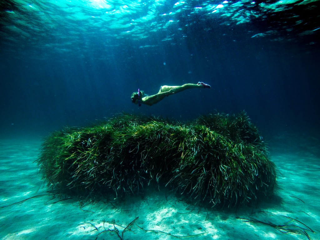 "Volando en Poseidonia"