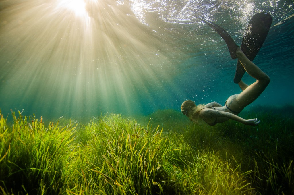 Sunset at Posidonia Meadows