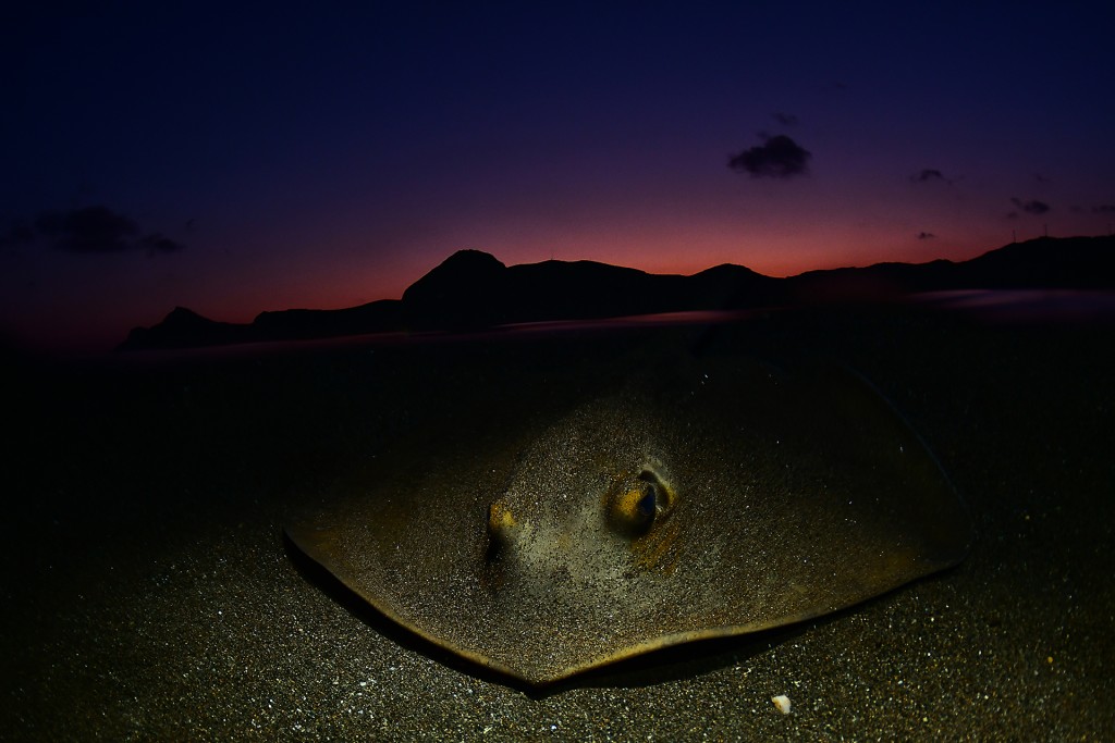 Anochece en la Bahía de Portman