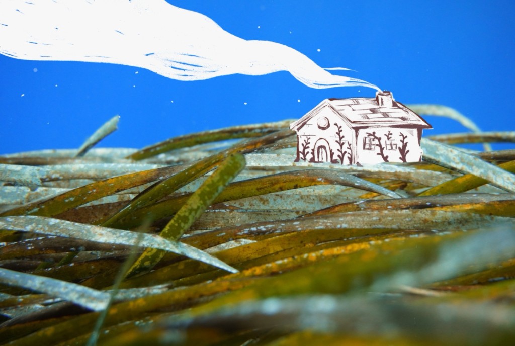 La casa de la pradera