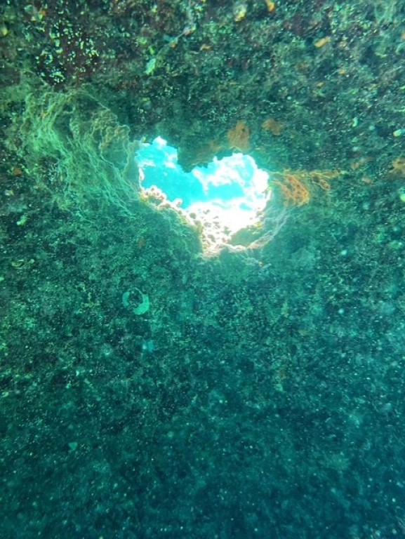 El corazón del mar