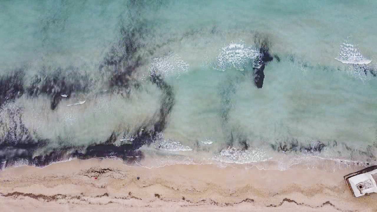 Badies somes: Taques que cuiden la mar