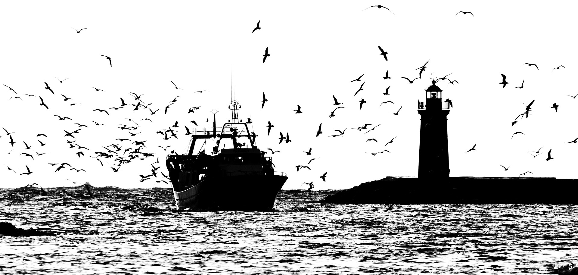 Retorn d'una dura jornada