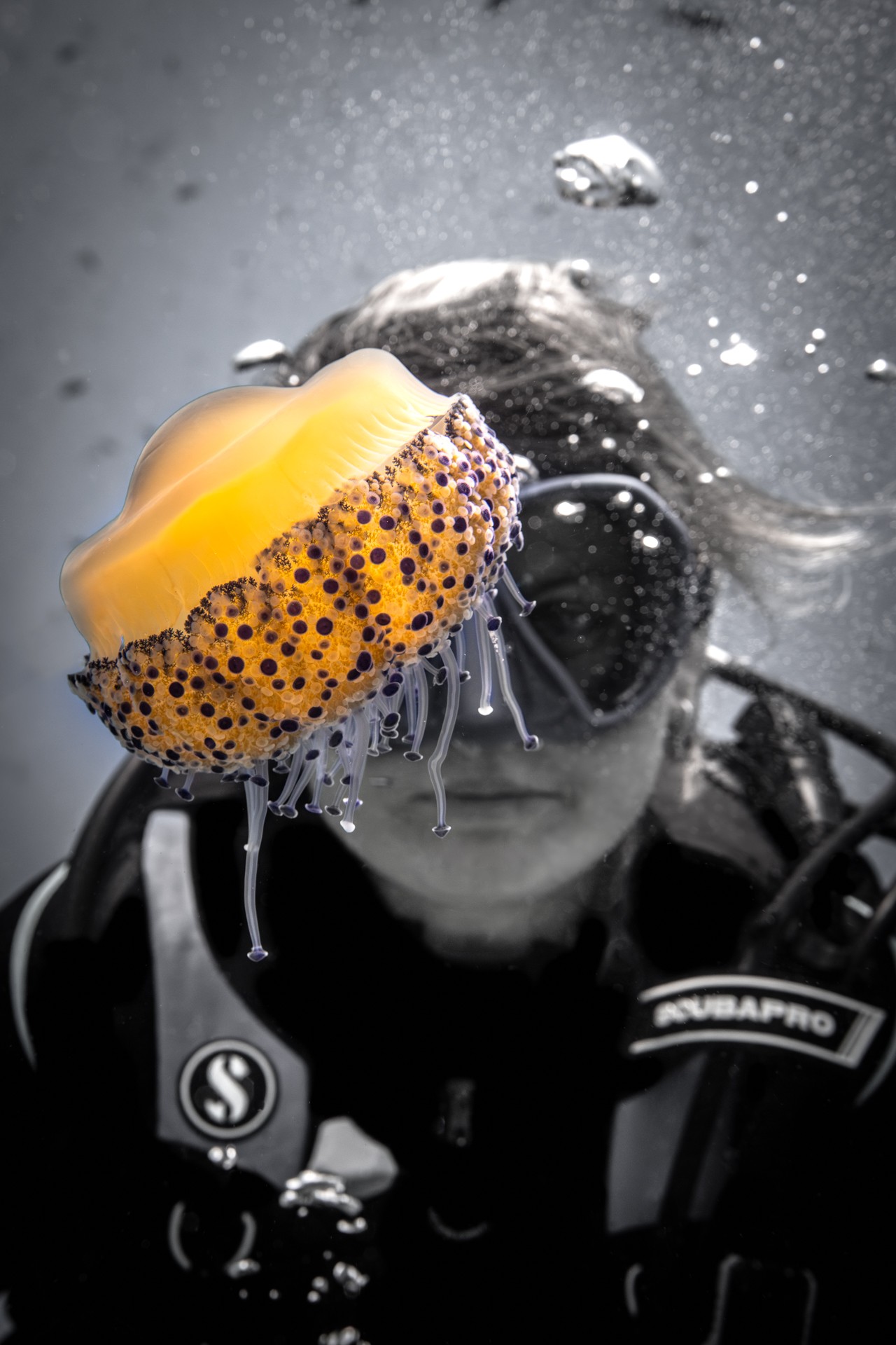 HUEVO FRITO CHILLÓN