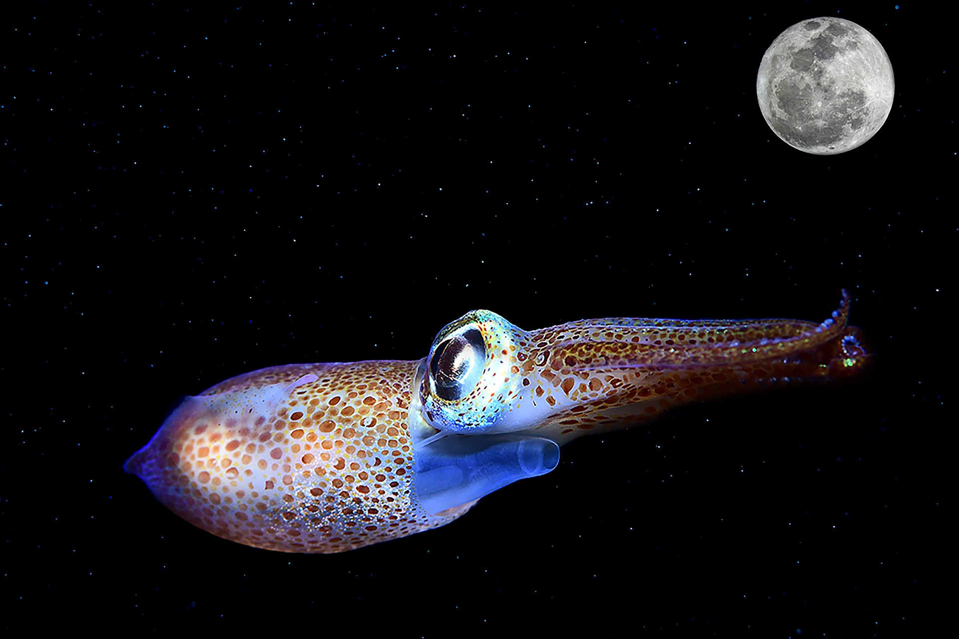 Se dueño de tu imaginación