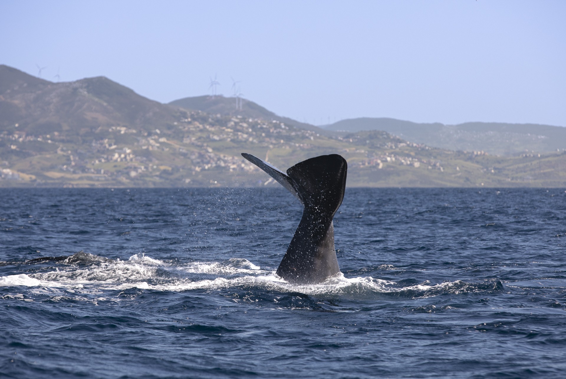 De vuelta a mi mundo