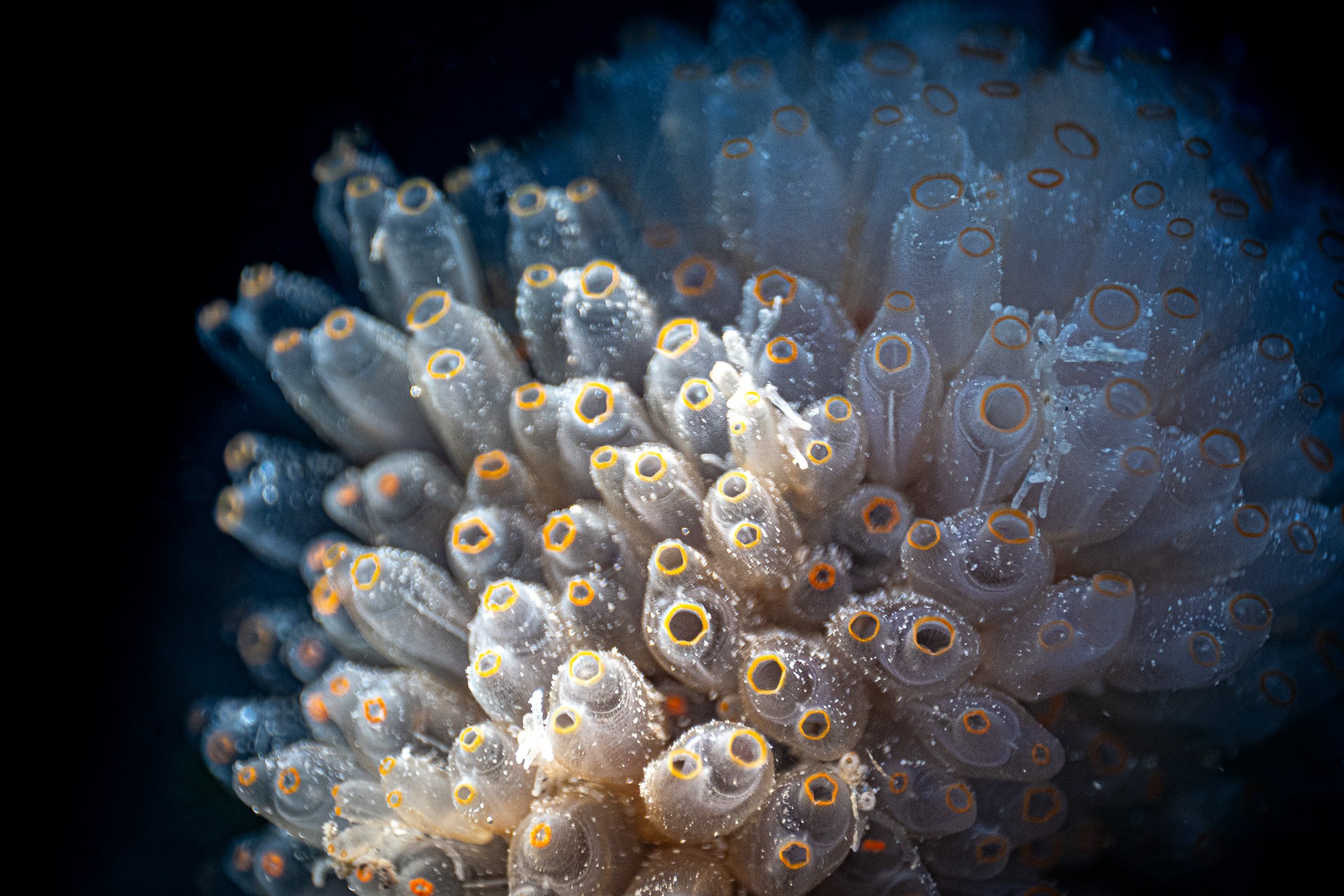 Cartografías de lo mínimo. Primer territorio