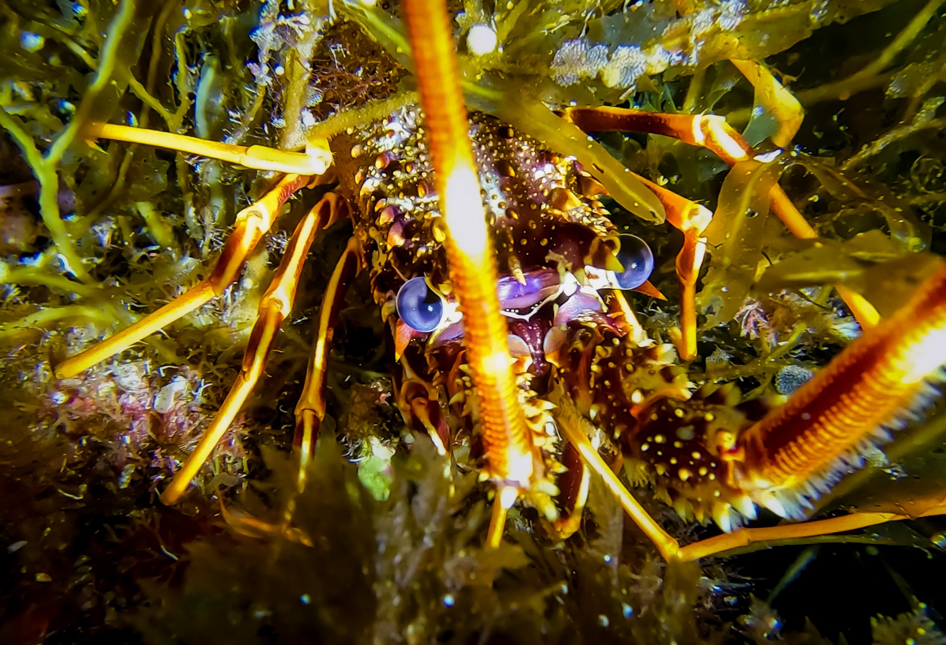 Entre el silencio y la esperanza