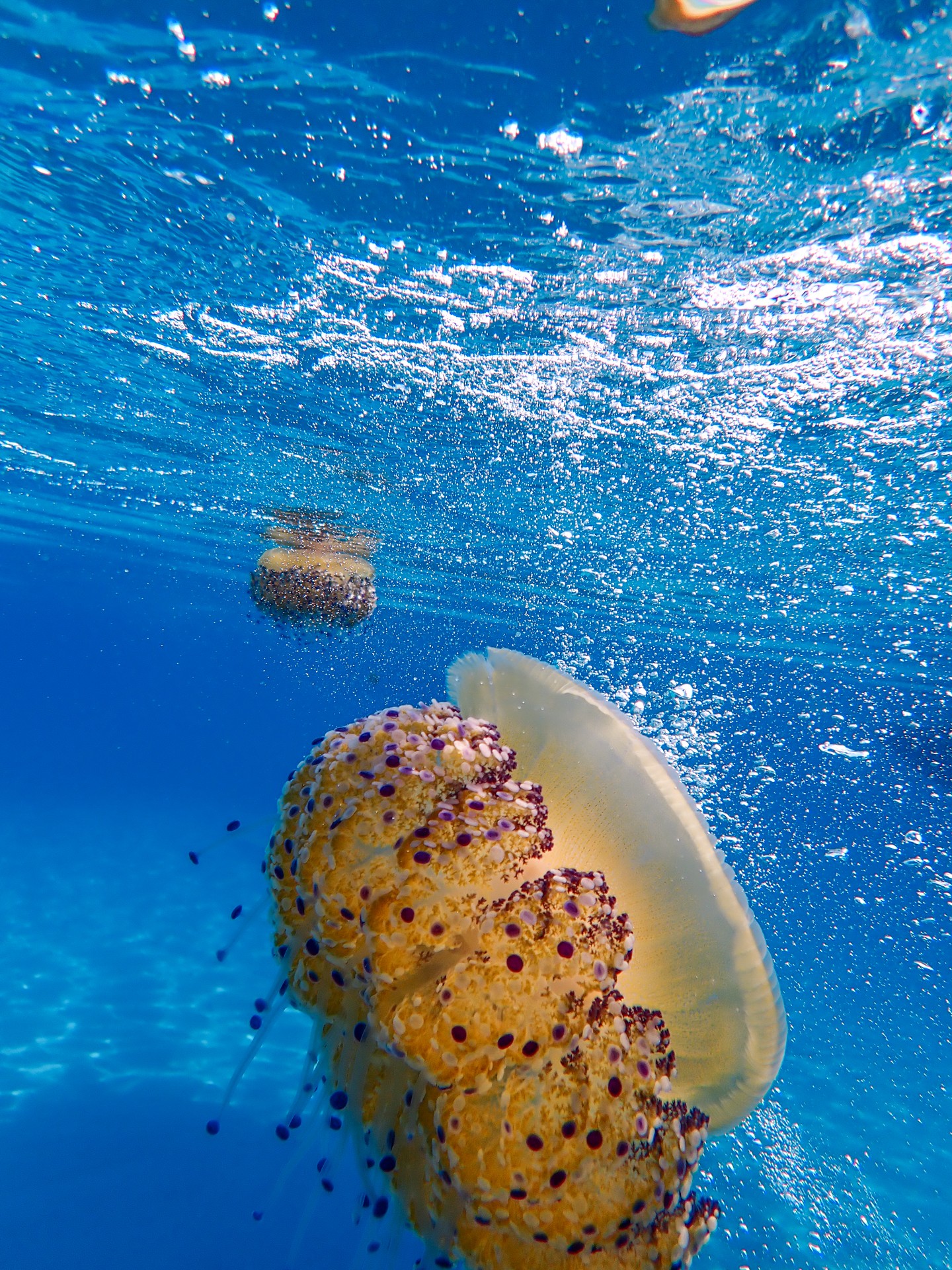 Flotando en el espacio azul