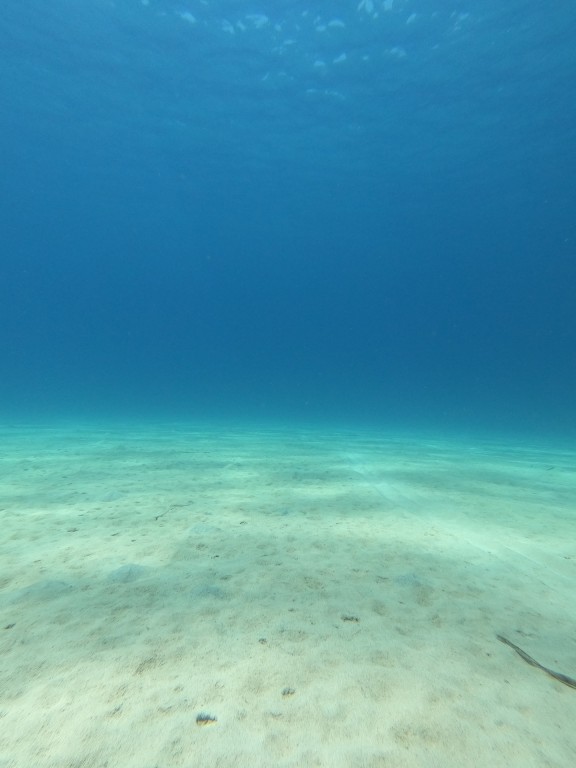 Horizonte azul