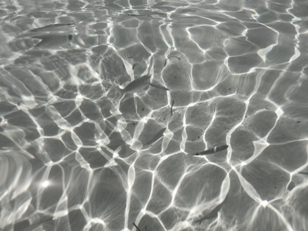 Reflejos