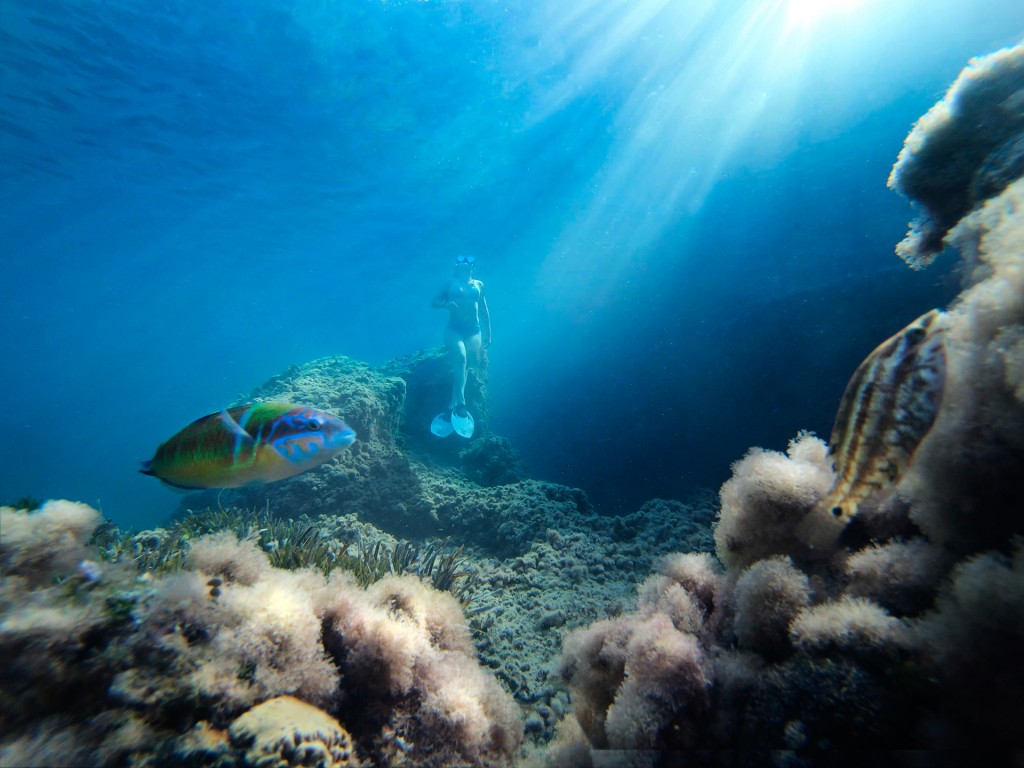 Among the fish