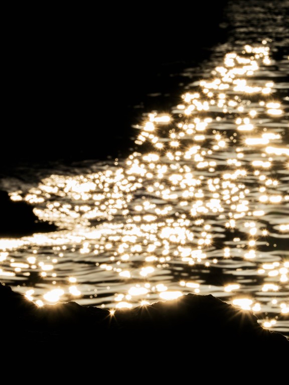 Estrellas de mar