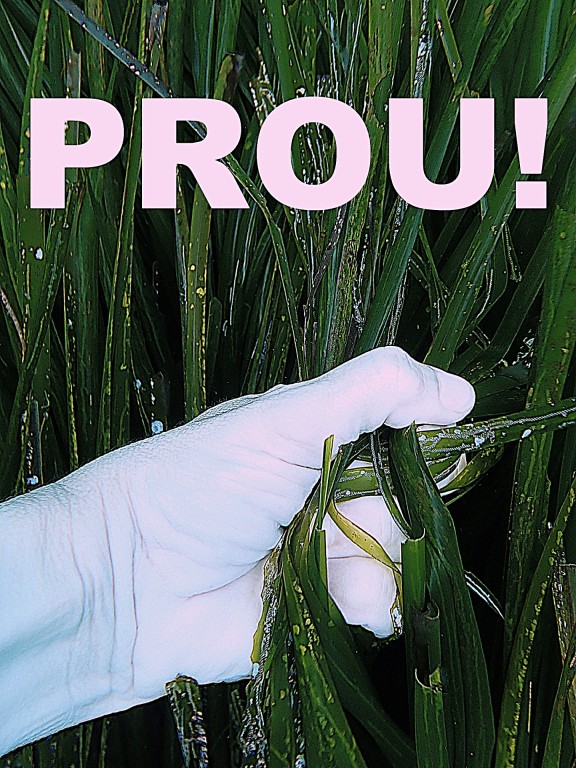 PROU!