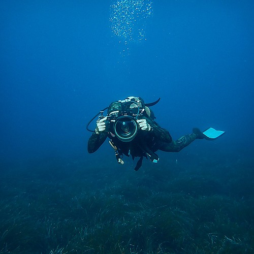 Underwater photography workshop