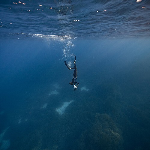 Underwater photography workshop