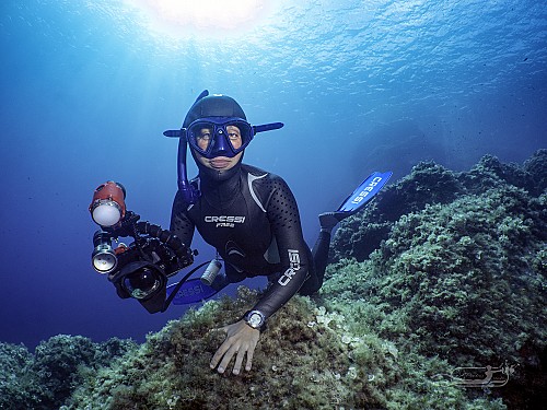 Freediving photography workshop