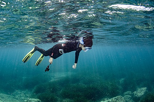 Freediving photography workshop