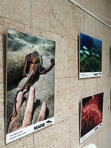 Sa Dragonera exhibition, Mallorca