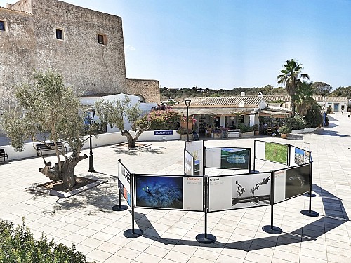 La exposición itinerante de MARE vuelve a Formentera