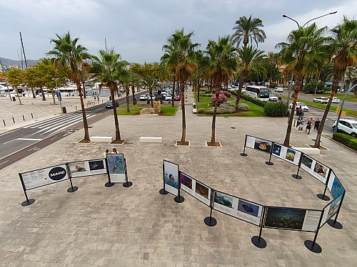 The Port of Palma hosts MARE’s travelling exhibition “The Voice of the Sea”