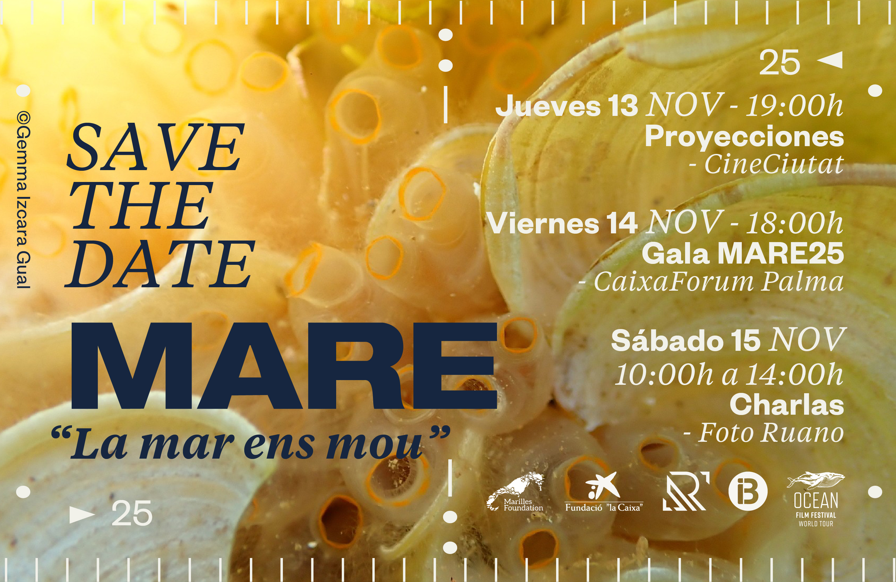 MARE25 – “El mar nos mueve”: tres días para celebrar la creatividad y la acción por el mar Balear