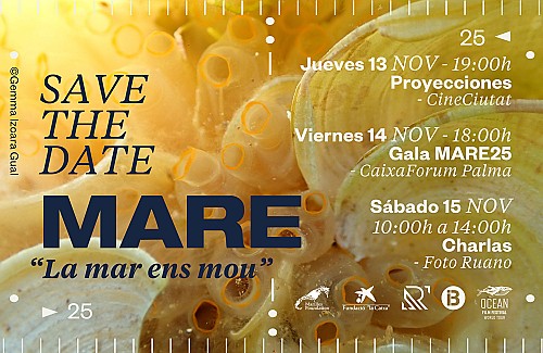 MARE25 – “La mar ens mou”: tres dies per celebrar la creativitat i l’acció per la mar Balear