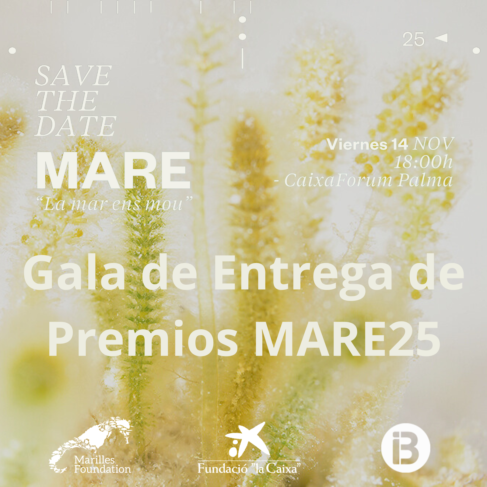 Gala de Entrega de Premios MARE25