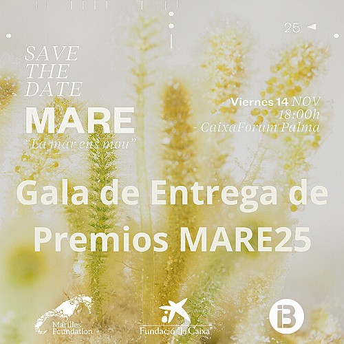 Gala de Entrega de Premios MARE25