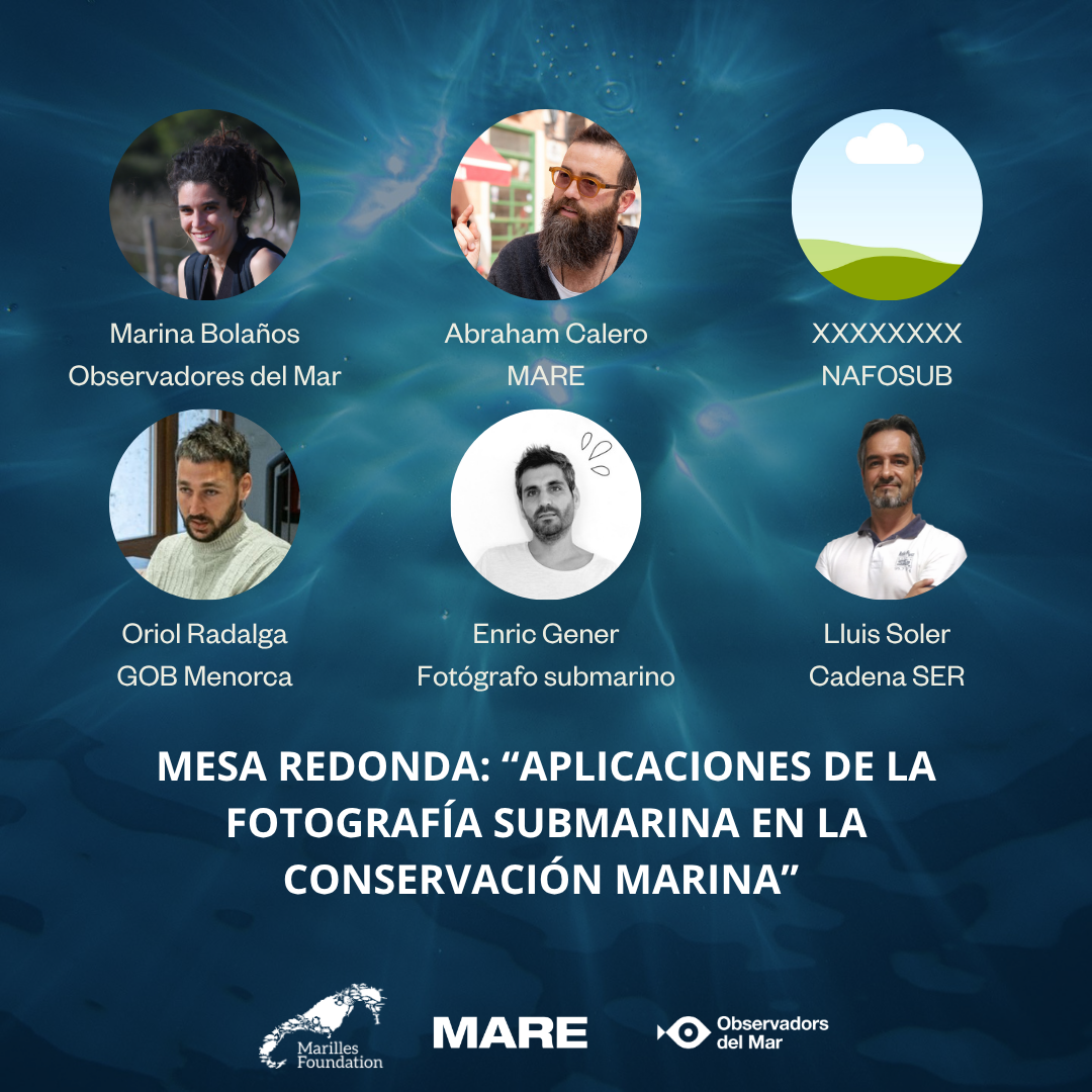 MESA REDONDA: “APLICACIONES DE LA FOTOGRAFÍA SUBMARINA EN LA CONSERVACIÓN MARINA”