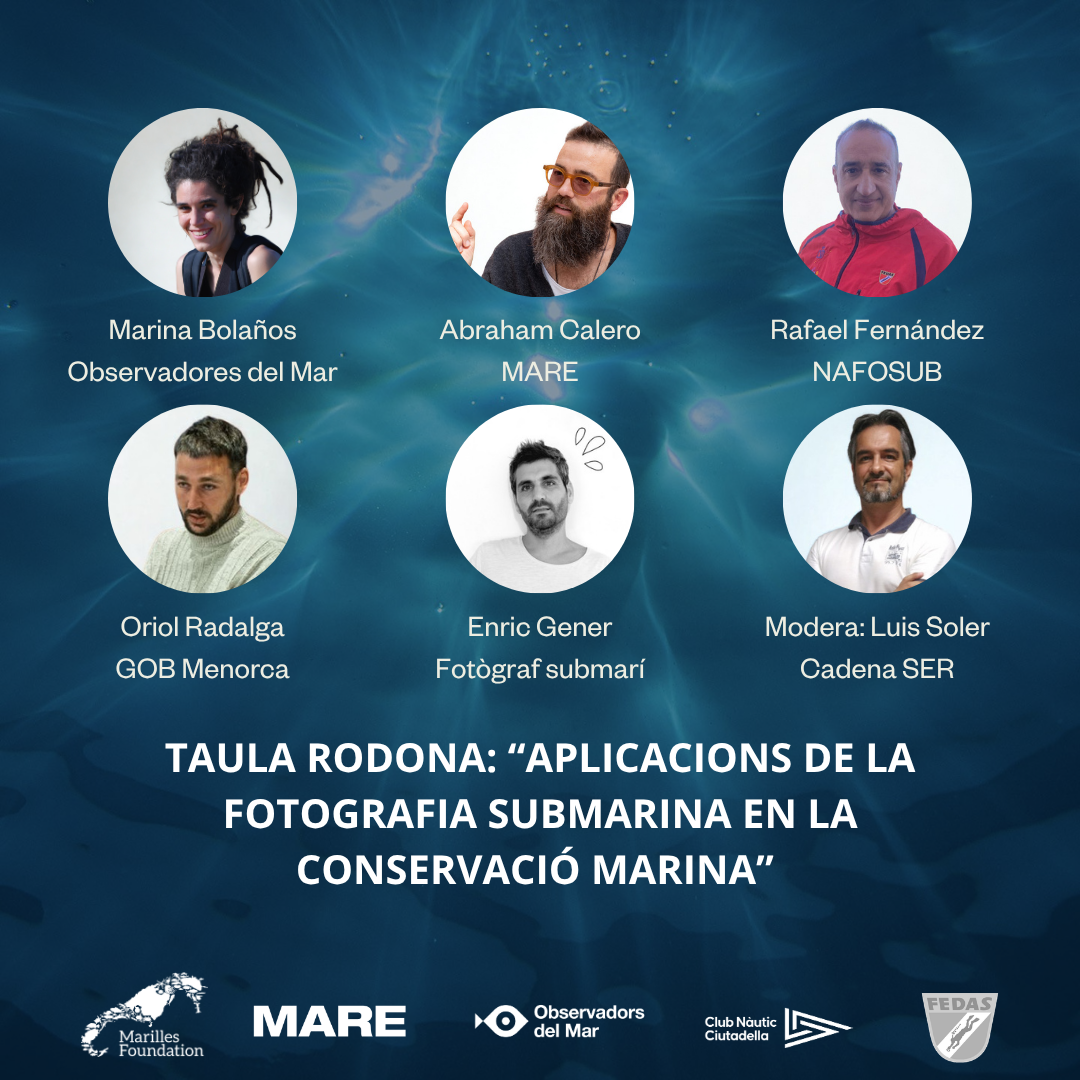 TAULA RODONA: “APLICACIONS DE LA FOTOGRAFIA SUBMARINA EN LA CONSERVACIÓ MARINA”